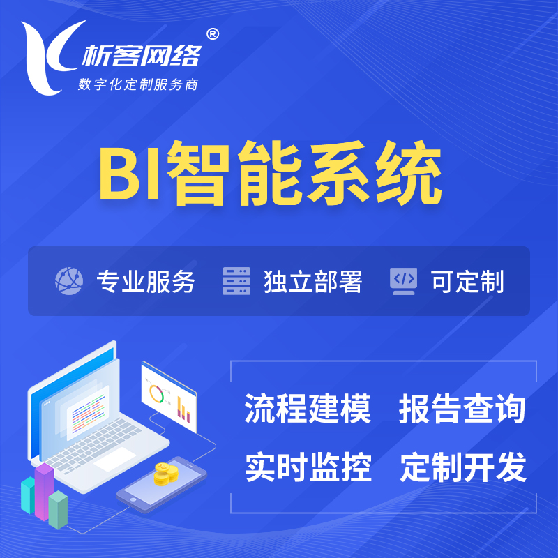 衢州BI智能系统 | BI数据可视化